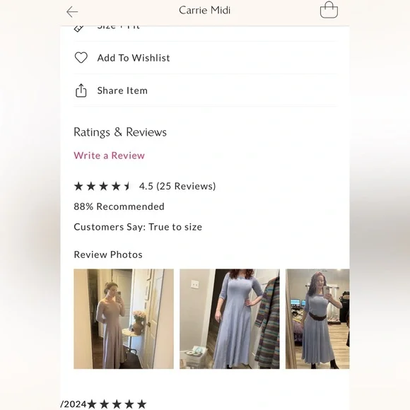 NWT Free People Carrie Midi Dress in “Blue Heron” - Picture 9 of 9